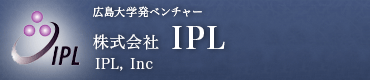  IPL