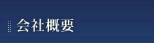 ЊTv