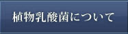 A_ۂɂ