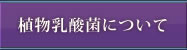 A_ۂɂ